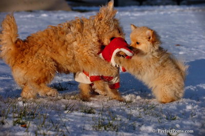 Dec4_07_1077.JPG