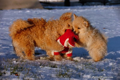Dec4_07_1078.JPG