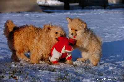 Dec4_07_1079.JPG