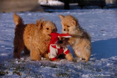 Dec4_07_1080.JPG