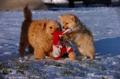 Dec4_07_1081.JPG
