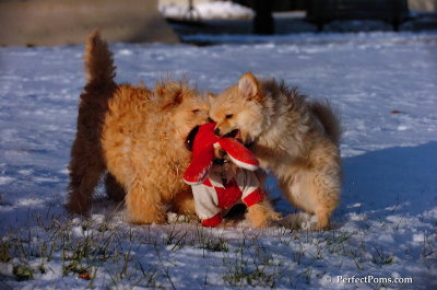 Dec4_07_1082.JPG