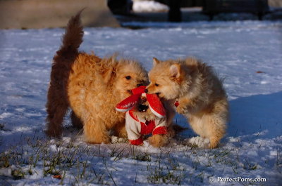 Dec4_07_1083.JPG