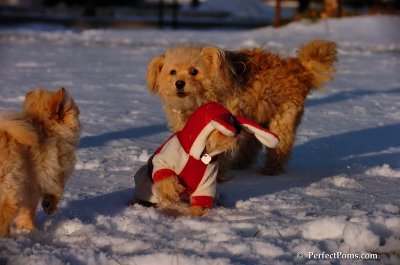 Dec4_07_1084.JPG