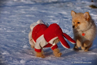 Dec4_07_1087.jpg