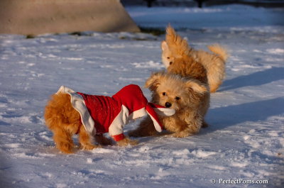 Dec4_07_1088.JPG