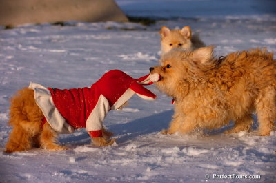 Dec4_07_1089.JPG