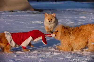 Dec4_07_1090.JPG