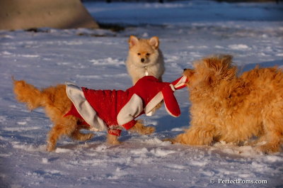 Dec4_07_1091.JPG
