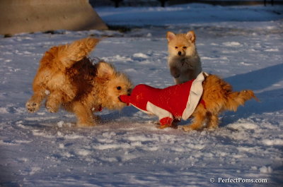 Dec4_07_1092.JPG