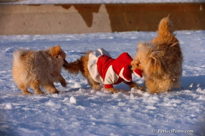 Dec4_07_1093.JPG