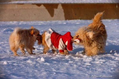 Dec4_07_1094.JPG