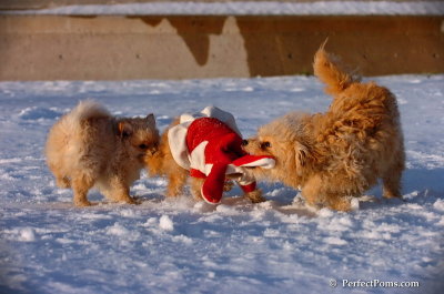 Dec4_07_1095.JPG