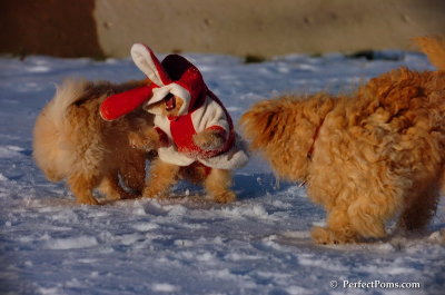 Dec4_07_1097.JPG