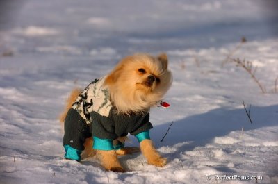 Dec4_07_957.JPG