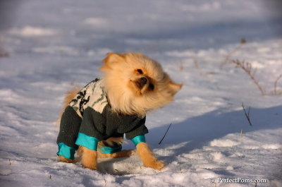 Dec4_07_959.JPG