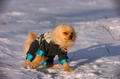 Dec4_07_960.JPG
