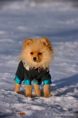 Dec4_07_964.JPG