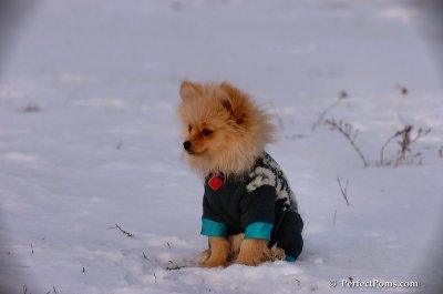Dec4_07_966.JPG