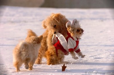 Dec4_07_967.JPG