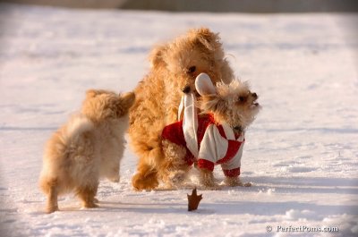 Dec4_07_968.JPG