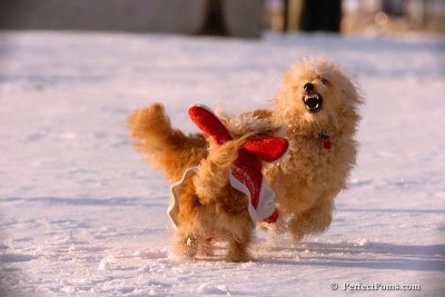 Dec4_07_969.jpg