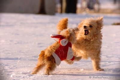Dec4_07_970.jpg