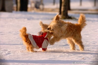 Dec4_07_973.JPG