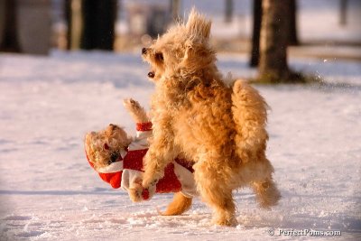 Dec4_07_974.jpg
