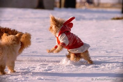 Dec4_07_975.jpg