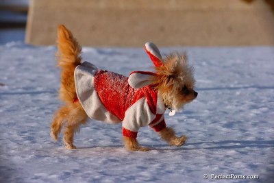 Dec4_07_976.jpg