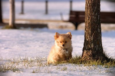 Dec4_07_977.jpg
