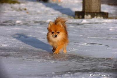 Dec4_07_978.JPG