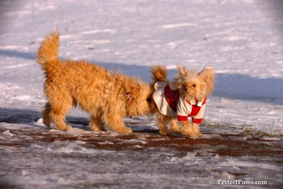 Dec4_07_979.jpg