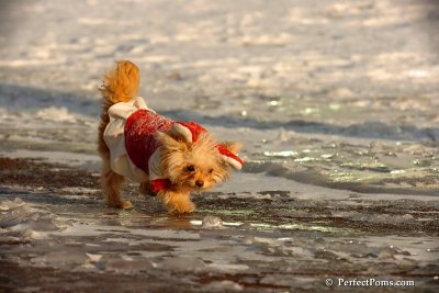 Dec4_07_980.jpg