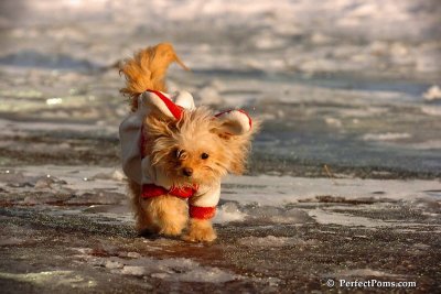 Dec4_07_981.jpg