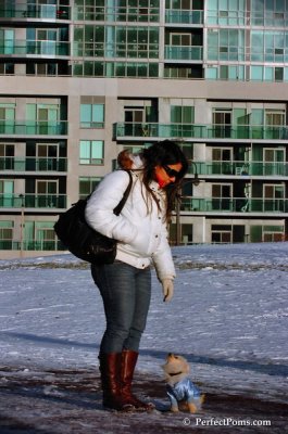 Dec4_07_982.JPG