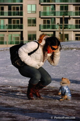 Dec4_07_986.JPG