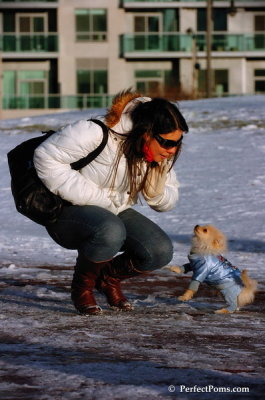 Dec4_07_989.JPG