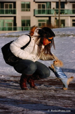 Dec4_07_990.JPG