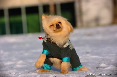 Dec4_07_991.JPG