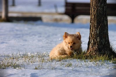 Dec4_07_998.jpg