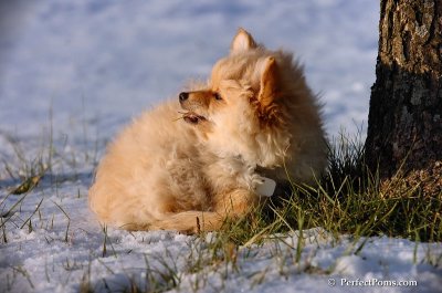 Dec4_07_999.JPG