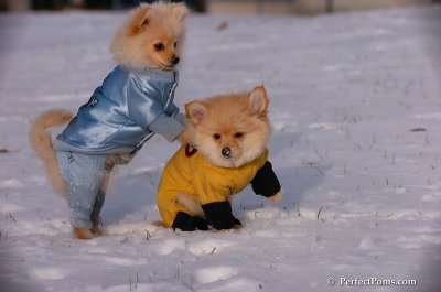 Dec4_07_740.JPG