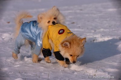 Dec4_07_744.JPG