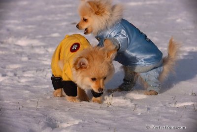 Dec4_07_745.jpg