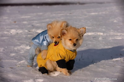 Dec4_07_748.JPG