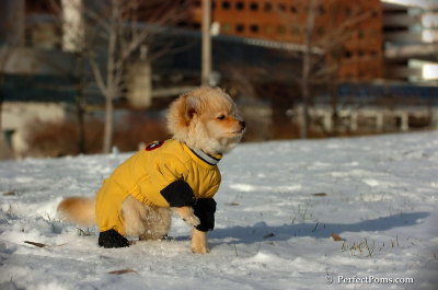 Dec4_07_754.JPG