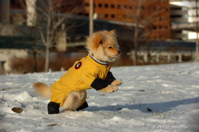 Dec4_07_755.JPG