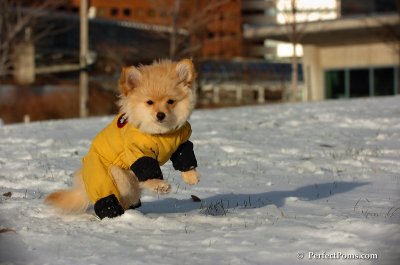 Dec4_07_756.JPG